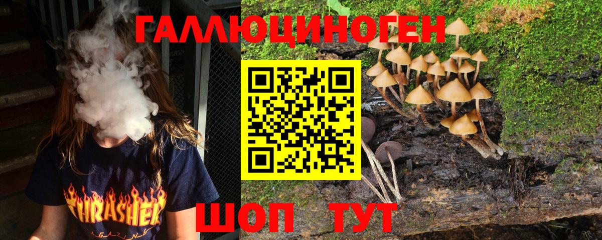 Псилоцибиновые грибы Magic Shrooms Новороссийск