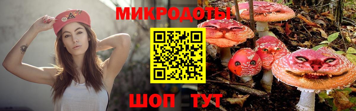 Новороссийск  Псилоцибиновые грибы GOLDEN TEACHER  Вход с VPN  Галлюциногенные грибы GOLDEN TEACHER 